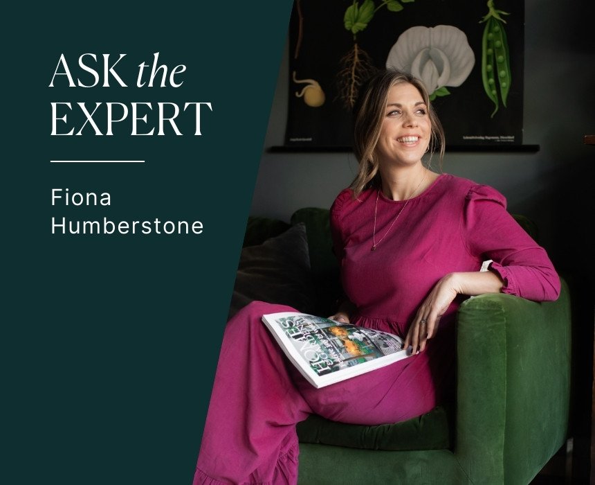 fiona humberstone building an interior design brand